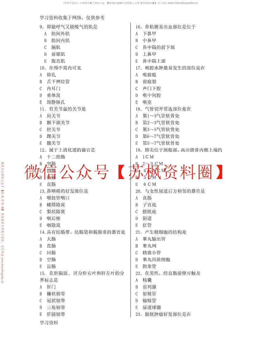 功能解剖学